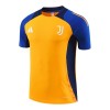 Maillot de Supporter Juventus Pre-Match 2024-25 Pour Homme